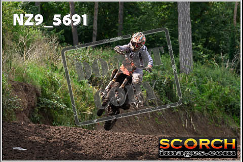 Experts-268