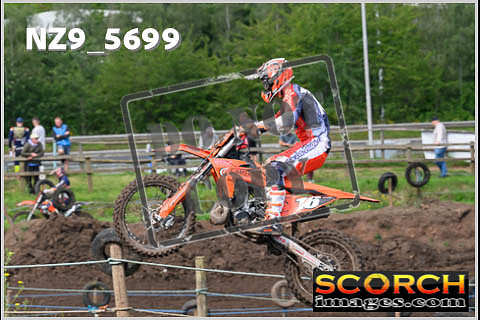 Experts-275