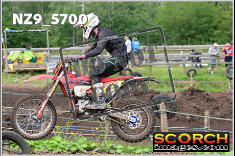 Experts-276