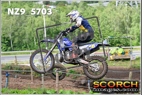 Experts-278