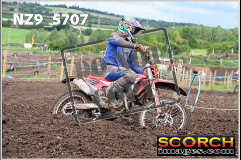 Experts-282