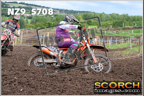 Experts-283