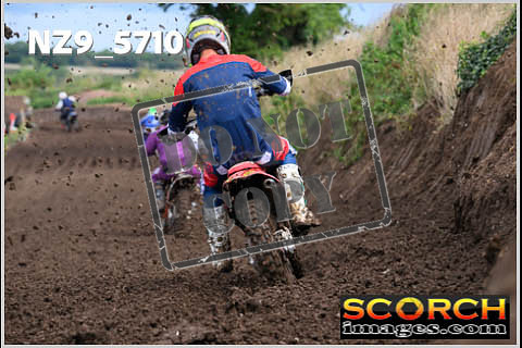 Experts-284