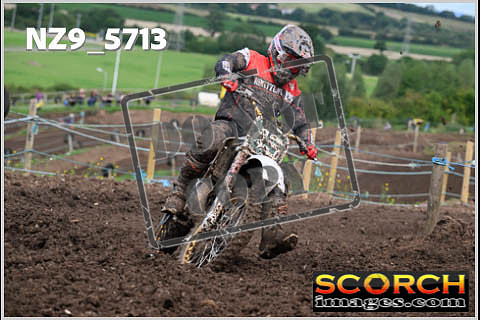 Experts-287