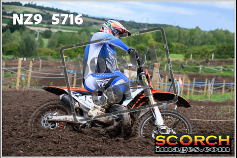 Experts-290
