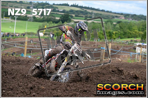 Experts-291