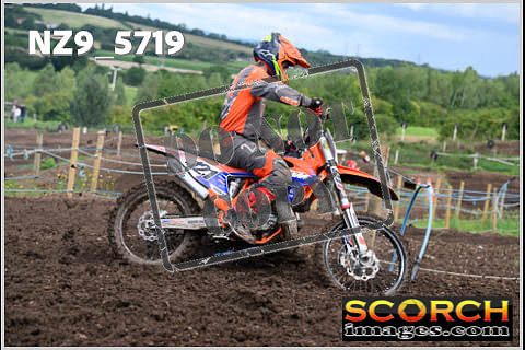 Experts-293