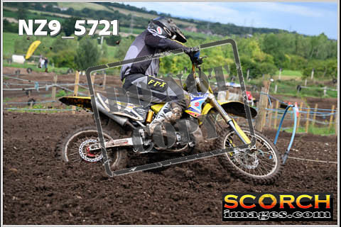 Experts-295