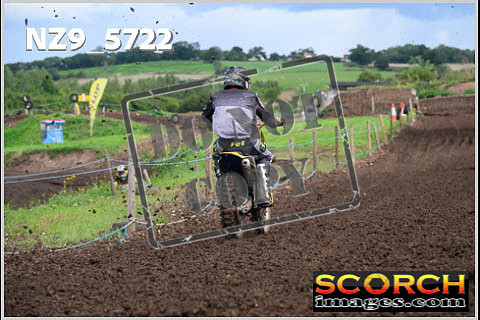Experts-296