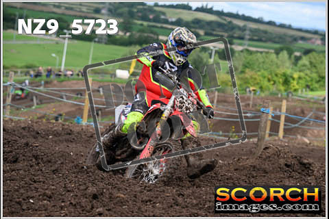 Experts-297