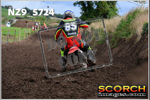 Experts-298