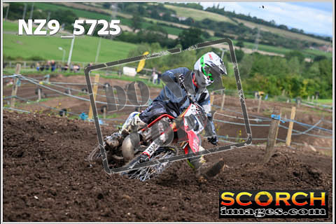 Experts-299