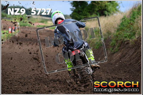 Experts-301