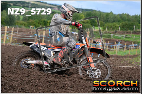 Experts-303