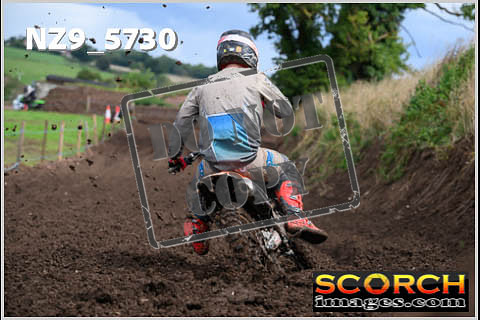 Experts-304