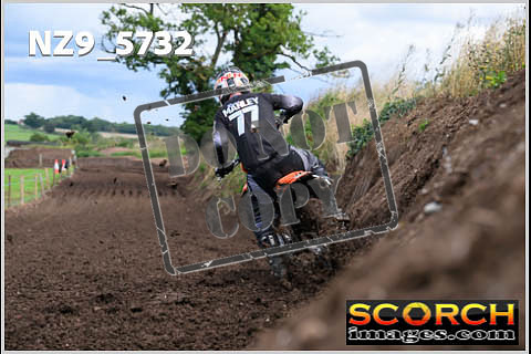 Experts-306