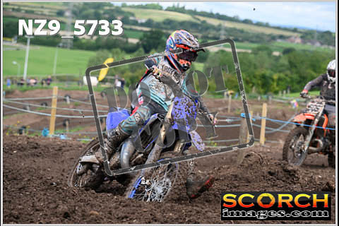 Experts-307