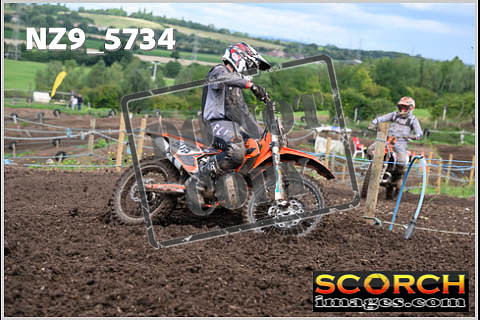 Experts-308