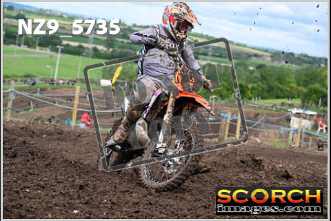 Experts-309
