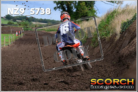 Experts-312