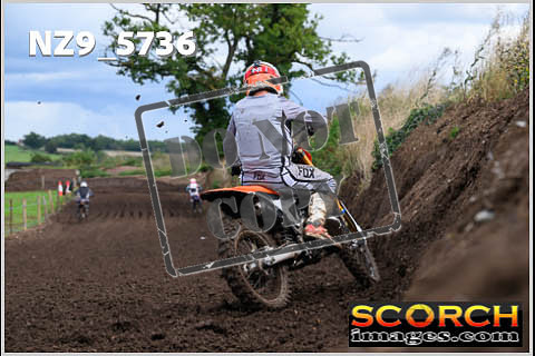 Experts-310