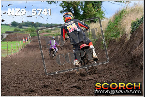 Experts-315