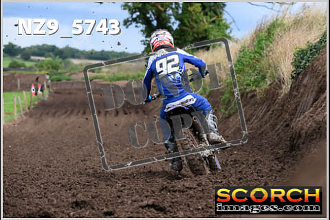 Experts-317