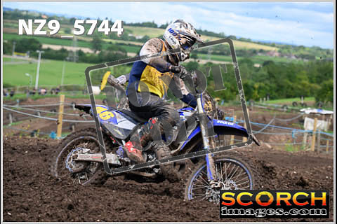 Experts-318