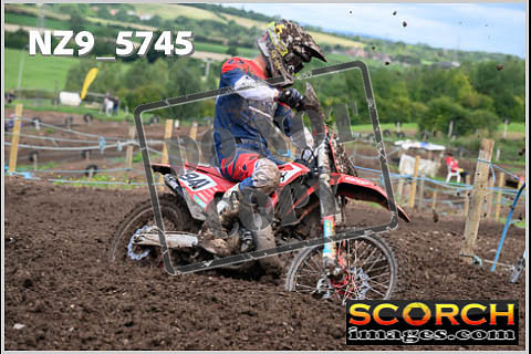 Experts-319