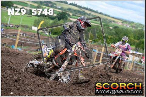 Experts-322
