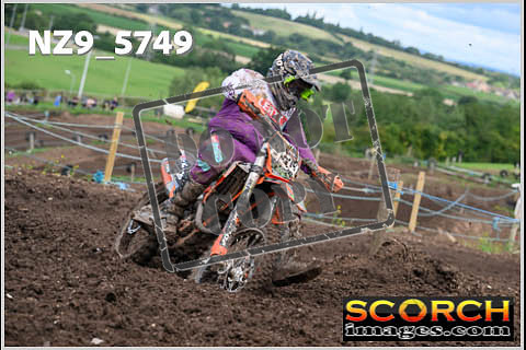 Experts-323