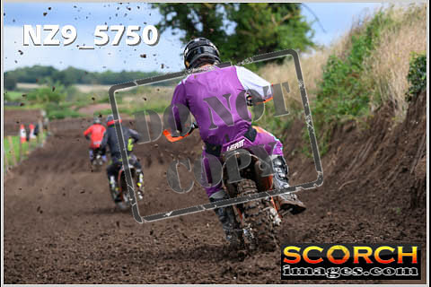 Experts-324