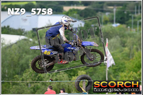 Experts-331
