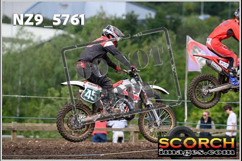 Experts-334