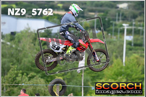Experts-335