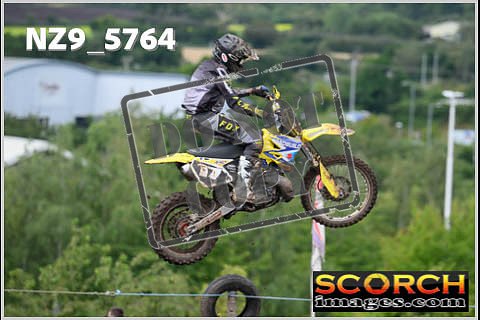 Experts-337