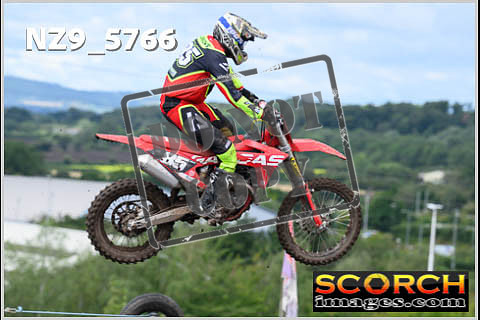 Experts-338