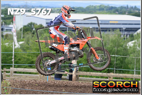 Experts-339