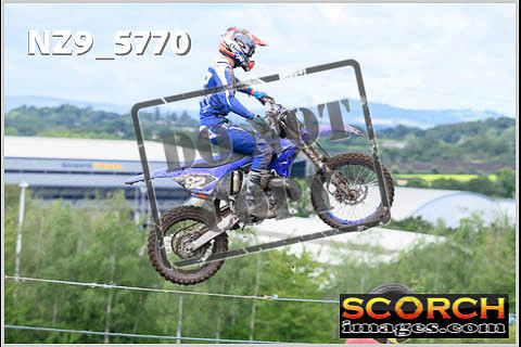 Experts-342