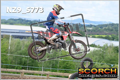 Experts-345