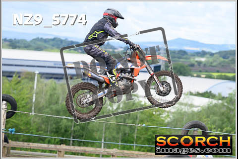 Experts-346