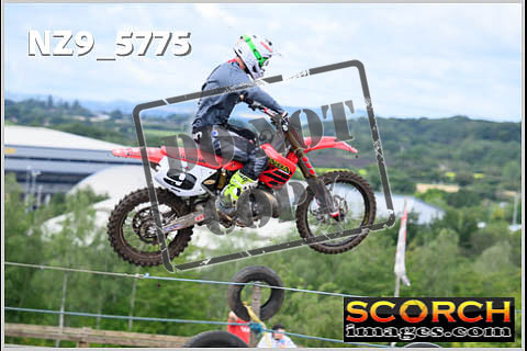 Experts-347