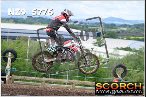 Experts-348