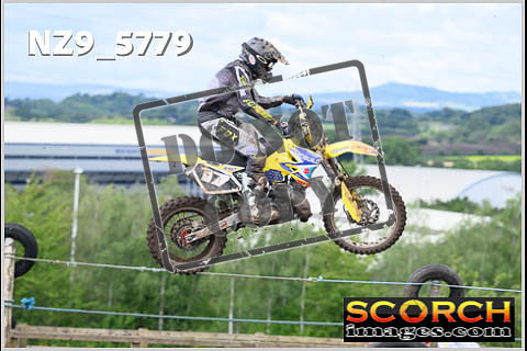 Experts-351