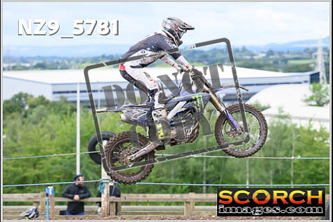 Experts-353