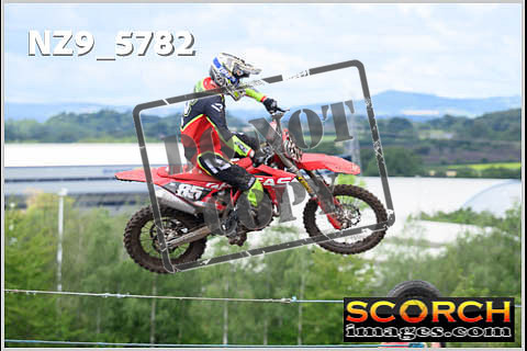 Experts-354