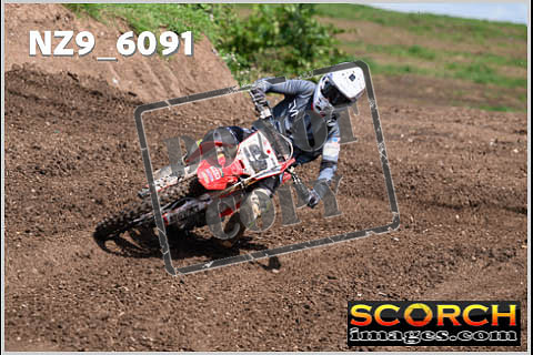 Experts-359