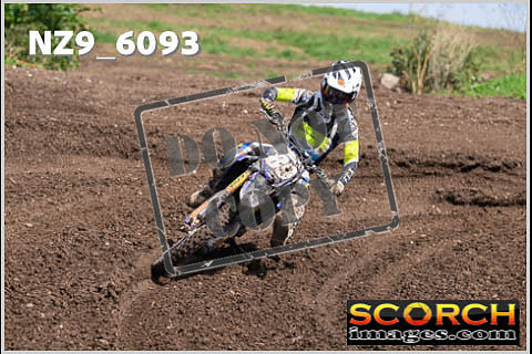 Experts-361