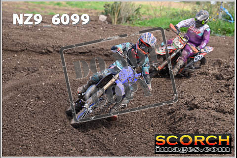 Experts-367