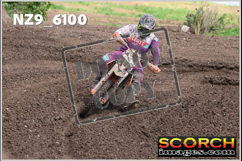 Experts-368